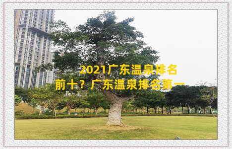 2021广东温泉排名前十？广东温泉排名第一