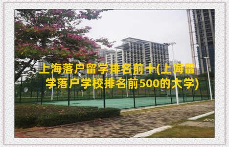 上海落户留学排名前十(上海留学落户学校排名前500的大学)