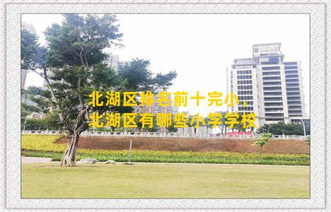 北湖区排名前十完小，北湖区有哪些小学学校