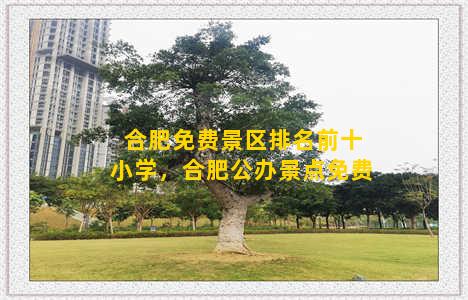 合肥免费景区排名前十小学，合肥公办景点免费