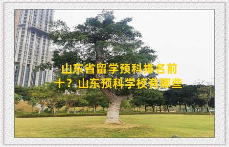 山东省留学预科排名前十？山东预科学校有哪些