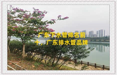 广东下水管排名前十，广东排水管品牌