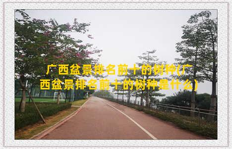 广西盆景排名前十的树种(广西盆景排名前十的树种是什么)