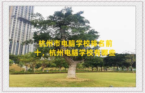 杭州市电脑学校排名前十，杭州电脑学校有哪些