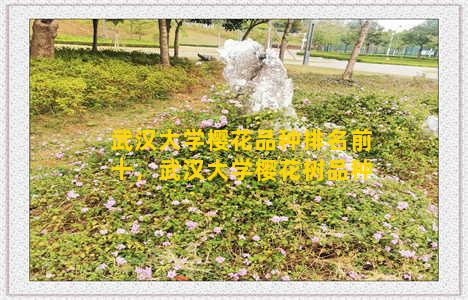 武汉大学樱花品种排名前十，武汉大学樱花树品种