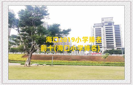 海口2019小学排名前十(海囗小学排名)