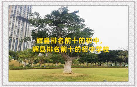 辉县排名前十的初中，辉县排名前十的初中学校